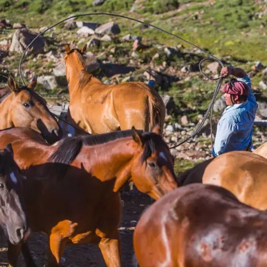 Cabalgata Cruce de los Andes - Paso Portillo de Piuquenes - Imagen 6