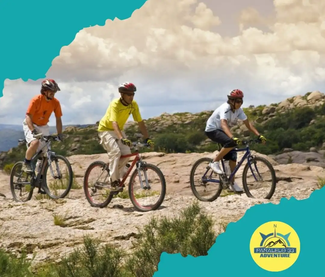 turismo-en-mendoza-salidas-diarias-dia-de-cicloturismo